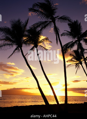 Tramonto con palme e barca a vela Launiupoko membro Edicola Hawaii Maui Foto Stock