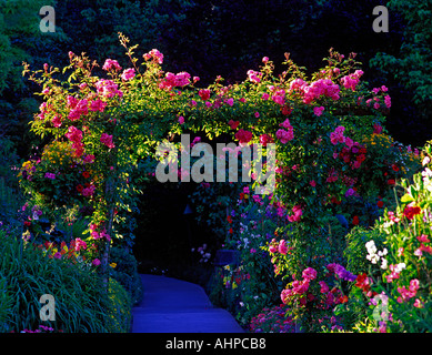 Le rose rosa su arbor Butchart Gardens Victoria British Columbia Canada Foto Stock