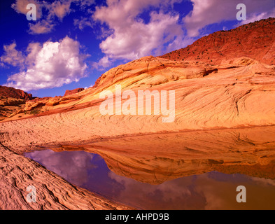 Acqua di pioggia pond Vermillion Cliffs Wilderness Utah Arizona Foto Stock