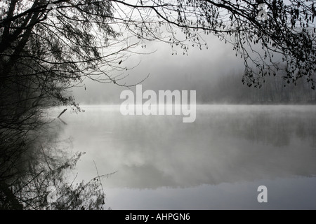 Nebbia invernale sul fiume Lot in Francia Foto Stock