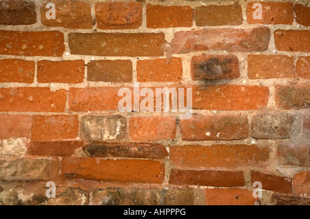 In prossimità di una parete a Netley Abbey Inghilterra Hampshire REGNO UNITO Foto Stock