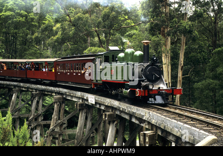 Treno a vapore sul Puffing Billy Railway, Belgrave, Victoria, Australia Foto Stock