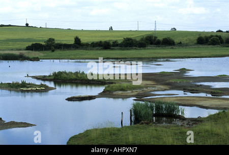 Pool di Flash, Upton Warren Riserva delle Paludi, Worcestershire, Regno Unito Foto Stock