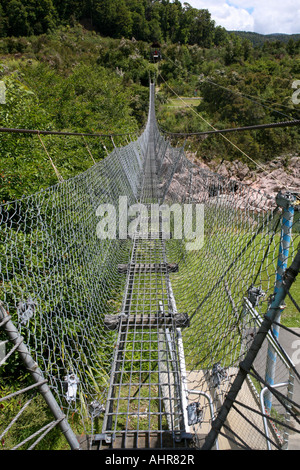 Nuova Zelanda più lunga Swingbridge oltre Buller Gorge Foto Stock