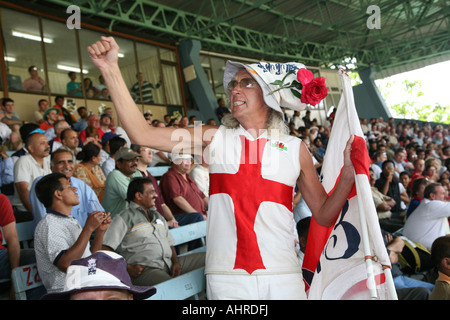 "Barmy army "ventola di cricket' fan Inghilterra Bandiere Bandiera Foto Stock