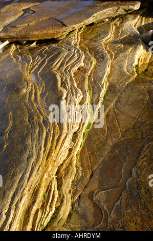 Sviluppo costiero a Hopeman sulla costa di Moray nel nord est della Scozia Foto Stock