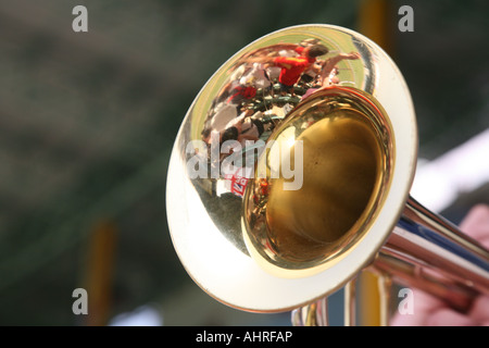 "Barmy army "ventola di cricket' fan Inghilterra Bandiere Bandiera Foto Stock