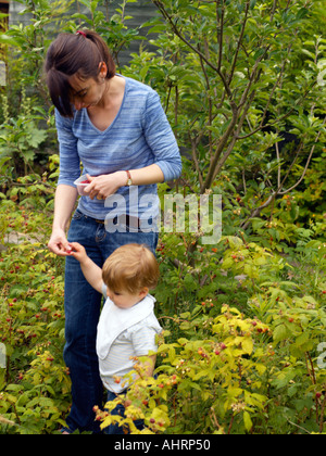 Madre 18 mese vecchio figlio la raccolta di lamponi Foto Stock