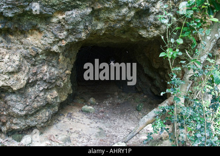 Asan Ridge fortificazione giapponese WWII Battlefield Memorial Parco Nazionale di Guam Foto Stock