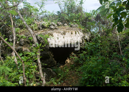 Asan Ridge fortificazione giapponese WWII Battlefield Memorial Parco Nazionale di Guam Foto Stock