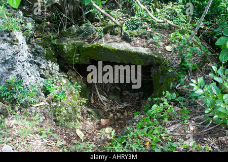 Asan Ridge fortificazione giapponese WWII Battlefield Memorial Parco Nazionale di Guam Foto Stock