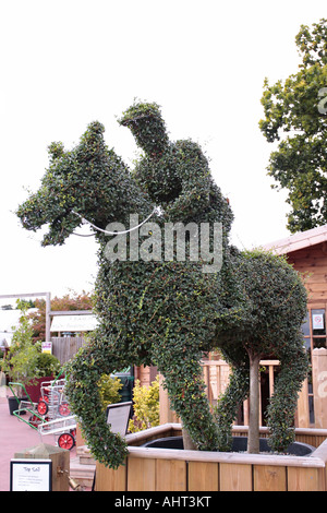 Cavallo topiario e fantino creato da Box Plant in mostra presso il centro giardino del Regno Unito Foto Stock