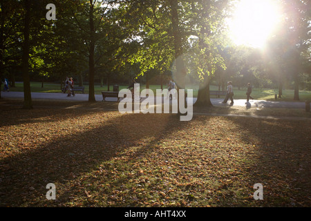 Luce di autunno in Regents Park. London, England, Regno Unito Foto Stock