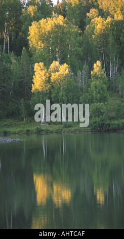 Il fiume Lebed s bank tradotto come il fiume Swan Altai Russia Foto Stock