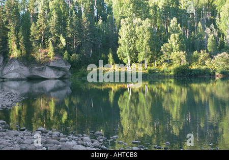 Il fiume Lebed s bank tradotto come il fiume Swan Altai Russia Foto Stock