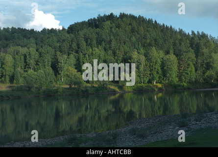 Il fiume Lebed s bank tradotto come il fiume Swan Altai Russia Foto Stock