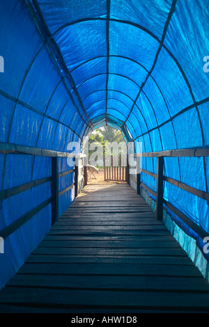 AAD 91665 modo cercando tunnel come pavimento in legno di colore blu in pvc in plastica superiore tetto di copertura Neral India Foto Stock