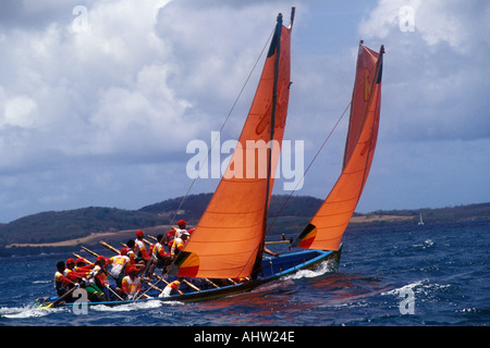 Martinica, Yoles rondes racing Foto Stock