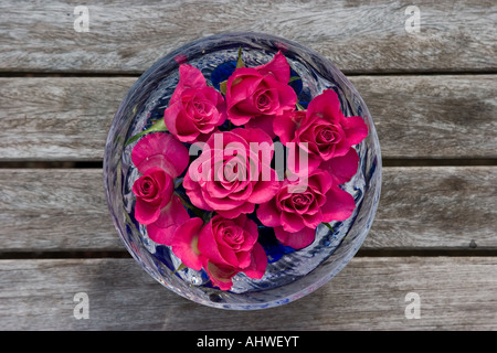 Rose fiori galleggianti in una ciotola di cristallo Foto Stock