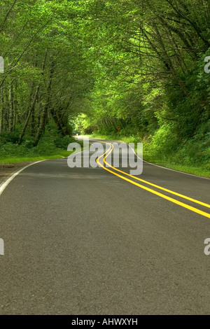 Autostrada guidare attraverso il lussureggiante paesaggio verde sulla costa del Pacifico in Oregon. Foto Stock