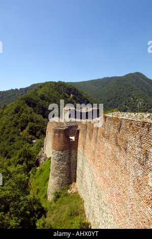 Rovine del Castello di Poienari Valacchia Romania Foto Stock