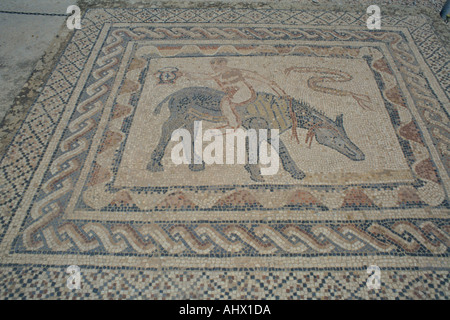 Le rovine romane, atleta a cavallo con il trofeo, pavimento a mosaico, Volubilis vicino a Meknes, Medio Atlante in Marocco Foto Stock