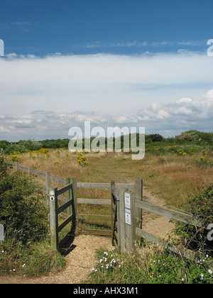Cancello di legno in un campo che dà accesso al sentiero pubblico vicino a Christchurch Inghilterra Foto Stock
