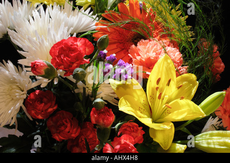 Fiori colorati in disposizione Foto Stock