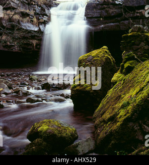 Summerhill vigore il Bowlees Beck, Bowlees, al di sopra di Middleton in Teesdale, superiore Teesdale, Co. Durham, Inghilterra, Regno Unito. Foto Stock