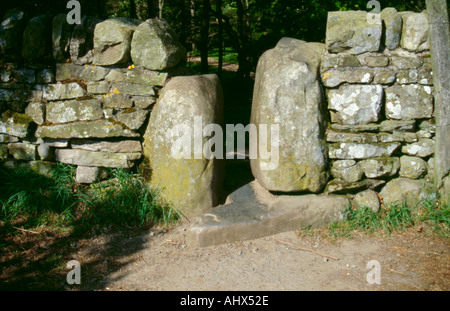 Semplice stile gap in stalattite muratura, vicino a Middleton in Teesdale, superiore Teesdale, North Pennines, County Durham, Inghilterra, Regno Unito. Foto Stock