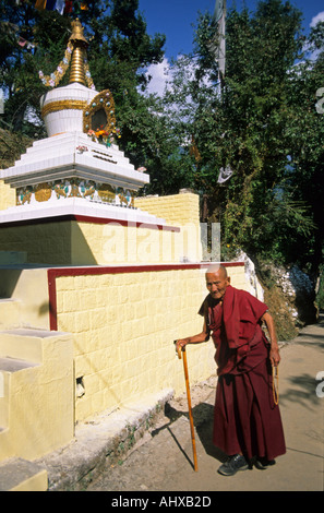 Vecchio monaco tibetano con bastone da passeggio vicino a uno stupa sulla via Kora a Dharamsala, Himachal Pradesh, India. Foto Stock