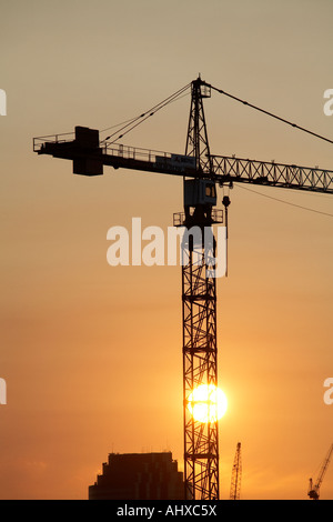 Gru da cantiere in serata silhouette al tramonto vicino a Teneriffe Queensland Brisbane Qld Australia Foto Stock