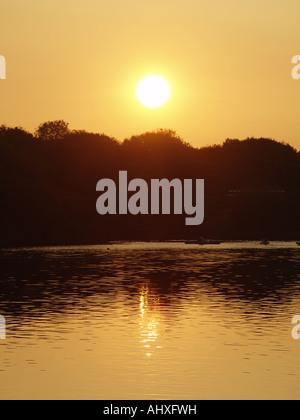 Arancio brillante tramonto dietro la linea di stagliano alberi che crescono accanto a un lago. Alberi riflette la superficie dei laghi Foto Stock