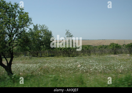 Paese bulgaro lato in estate Foto Stock