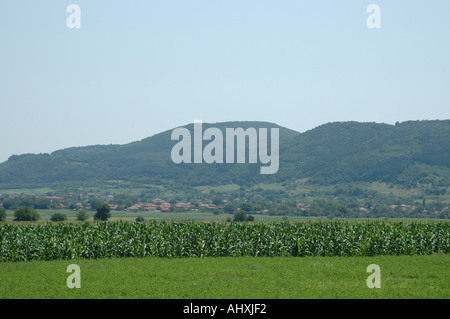 Paese bulgaro lato in estate Foto Stock