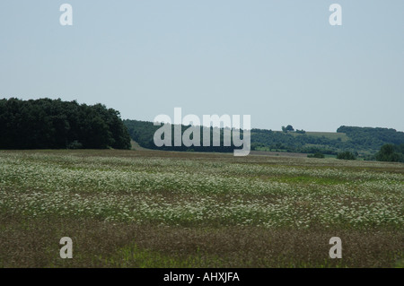 Paese bulgaro lato in estate Foto Stock