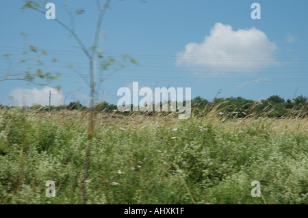 Paese bulgaro lato in estate Foto Stock