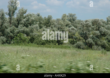 Paese bulgaro lato in estate Foto Stock