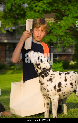 Supporto quotidiano dalmata Foto Stock