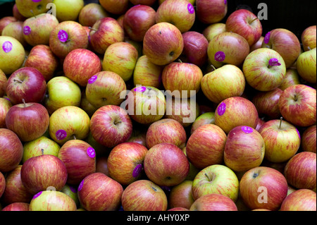 Inglese mele al mercato di Borough di Londra Foto Stock