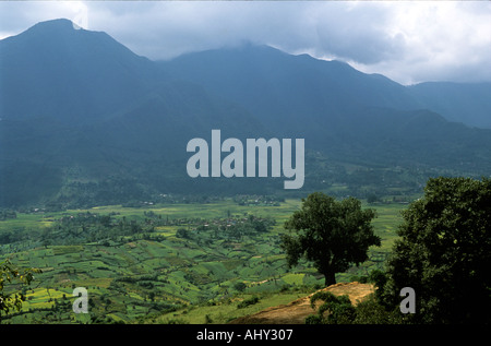 Vista panoramica della lussureggiante valle di Kathmandu con campi terrazzati e montagne, vista dal villaggio di Chobhar. Foto Stock