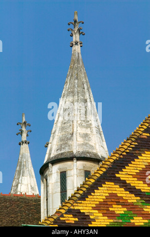 SAINT BEGNIGNE CATTEDRALE - Dijon - Borgogna - Francia Foto Stock