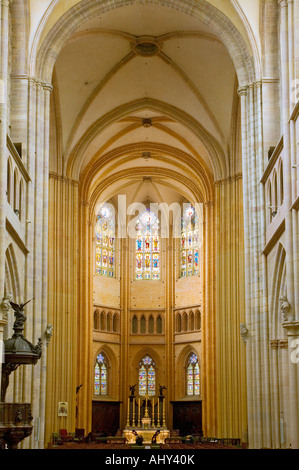 SAINT BEGNIGNE CATTEDRALE - Dijon - Borgogna - Francia Foto Stock