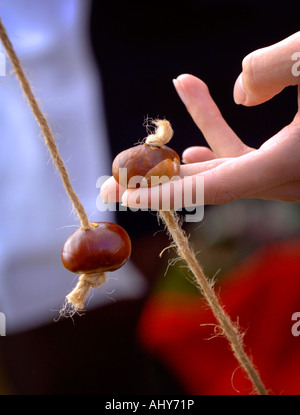 Mani disegnare la stringa stretto come un gioco di conkers inizia in Ferring, West Sussex. Foto da Jim Holden. Foto Stock