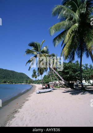 Spiaggia di tartarughe viola della costa occidentale e palme vicino al piccolo porto di Portsmouth sull'isola tropicale opuscolo di vacanza idea Dominica Caribbean Foto Stock