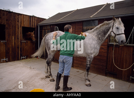 Ian Stark governare il suo cavallo in Scozia in Gran Bretagna nel Regno Unito Regno Unito. Cavalli Groom stallone animale stabile Foto Stock