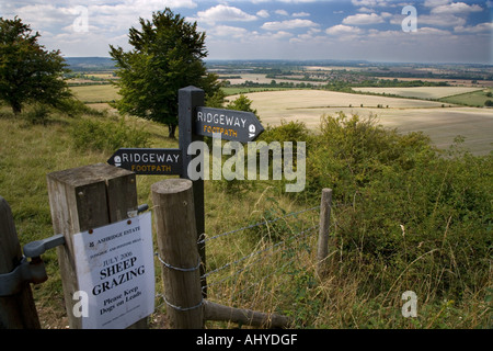 Il percorso di Ridgeway Ivinghoe Buckinghamshire REGNO UNITO Foto Stock