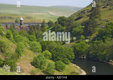 Craig Goch diga con Penygarrag serbatoio in primo piano Elan Valley Galles Centrale Foto Stock