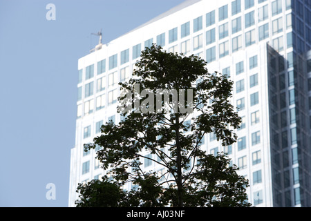 Londra alberi intorno al Docland alta torre di blocchi in Foto Stock