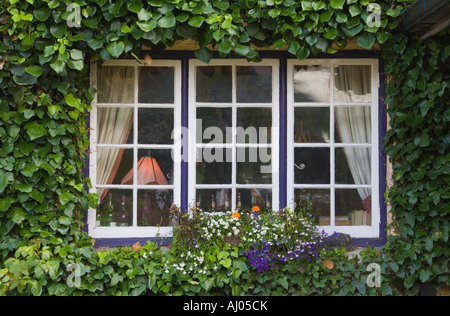 Cottage Adare County Limerick Irlanda Foto Stock